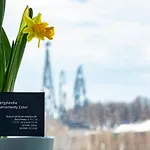 Energylandia Madzia